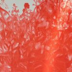 붉은정원 30x30cm Oil on canvas 2020 